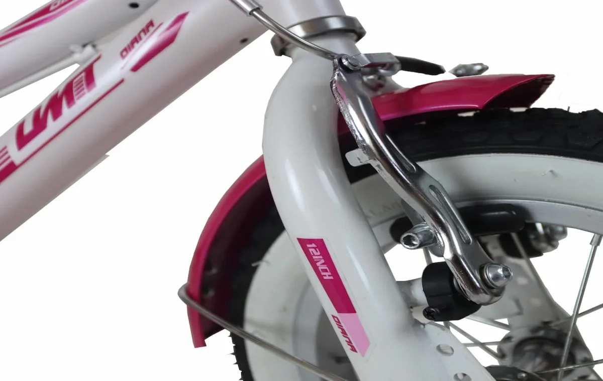 Bicicleta UMIT Diana 12 Pulgadas Rosa-Blanca con Cesta y Portamuñecas - Ref. 1222-35 - Imagen 5
